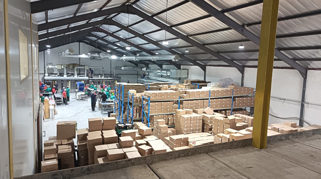Fransman Electrical project photo 90